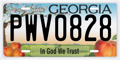 GA license plate PWV0828