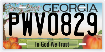 GA license plate PWV0829