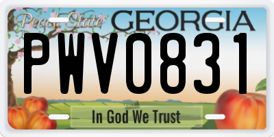 GA license plate PWV0831
