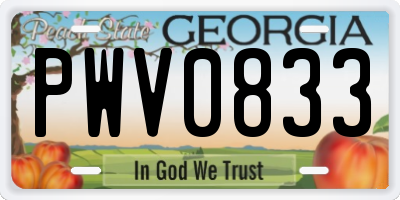 GA license plate PWV0833