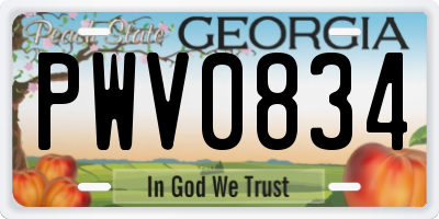 GA license plate PWV0834