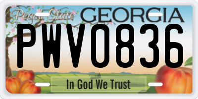 GA license plate PWV0836