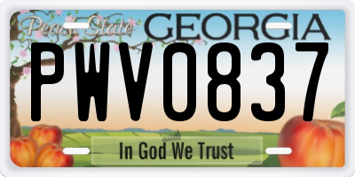 GA license plate PWV0837