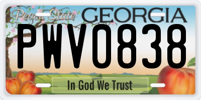 GA license plate PWV0838