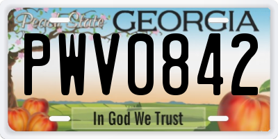 GA license plate PWV0842