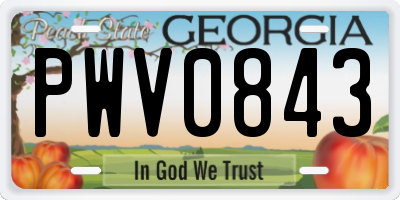 GA license plate PWV0843