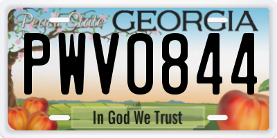 GA license plate PWV0844