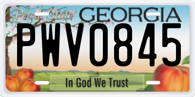 GA license plate PWV0845