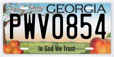 GA license plate PWV0854