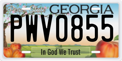 GA license plate PWV0855