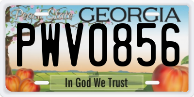 GA license plate PWV0856