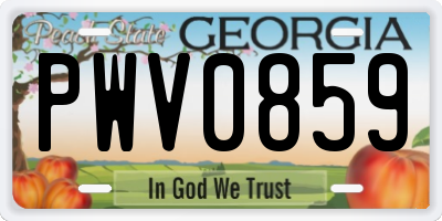 GA license plate PWV0859