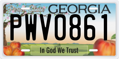 GA license plate PWV0861