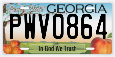 GA license plate PWV0864