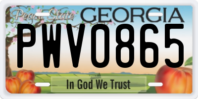 GA license plate PWV0865