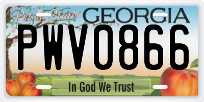 GA license plate PWV0866