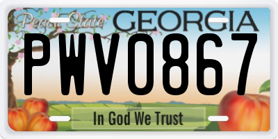 GA license plate PWV0867