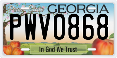 GA license plate PWV0868