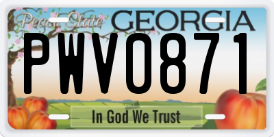 GA license plate PWV0871