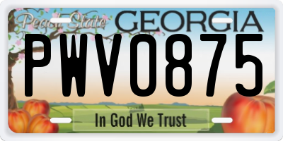 GA license plate PWV0875