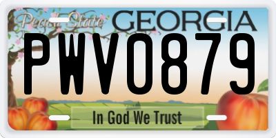 GA license plate PWV0879