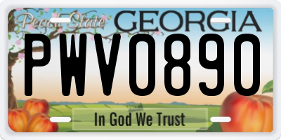 GA license plate PWV0890