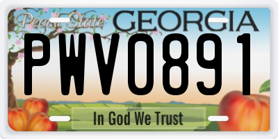 GA license plate PWV0891