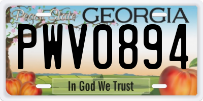 GA license plate PWV0894