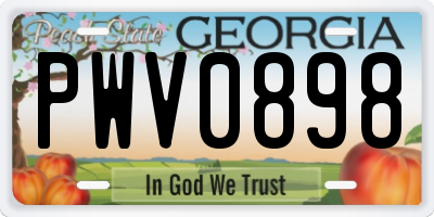 GA license plate PWV0898