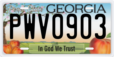 GA license plate PWV0903