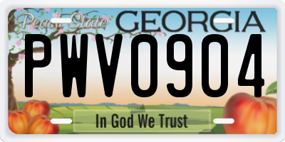 GA license plate PWV0904