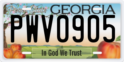 GA license plate PWV0905