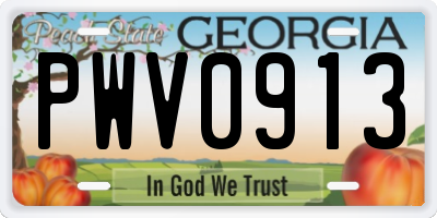 GA license plate PWV0913
