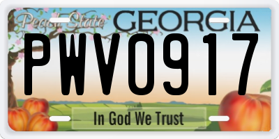 GA license plate PWV0917