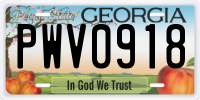 GA license plate PWV0918