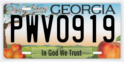 GA license plate PWV0919