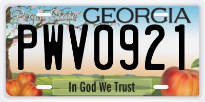 GA license plate PWV0921