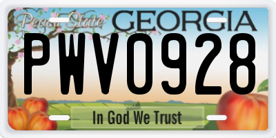 GA license plate PWV0928