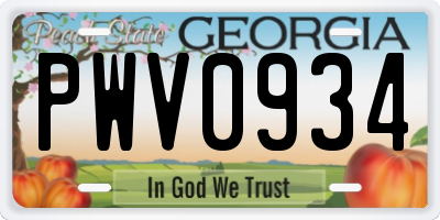 GA license plate PWV0934