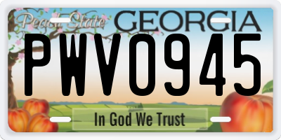 GA license plate PWV0945