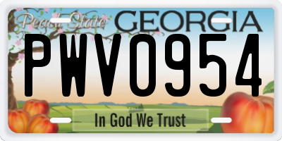 GA license plate PWV0954