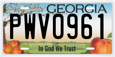 GA license plate PWV0961