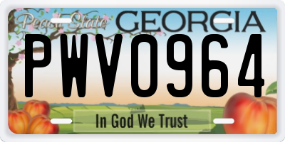 GA license plate PWV0964