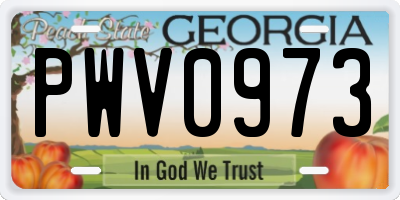 GA license plate PWV0973