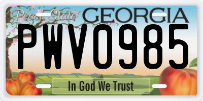 GA license plate PWV0985