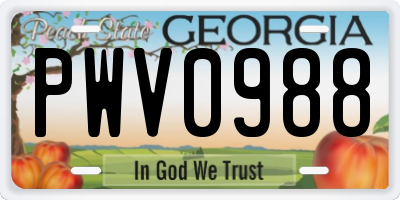 GA license plate PWV0988