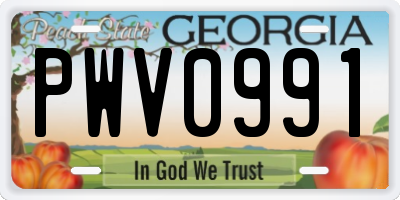 GA license plate PWV0991