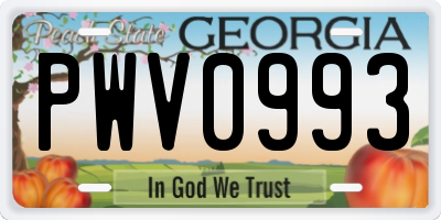 GA license plate PWV0993