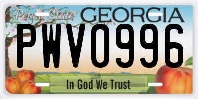 GA license plate PWV0996