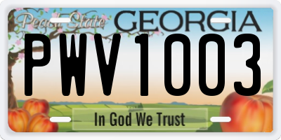 GA license plate PWV1003